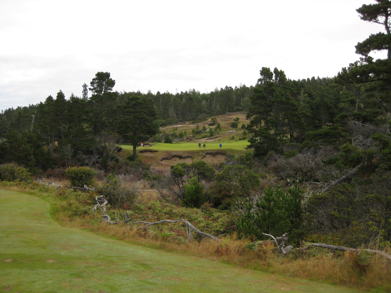 Bandon Dunes (Bandon Trails)